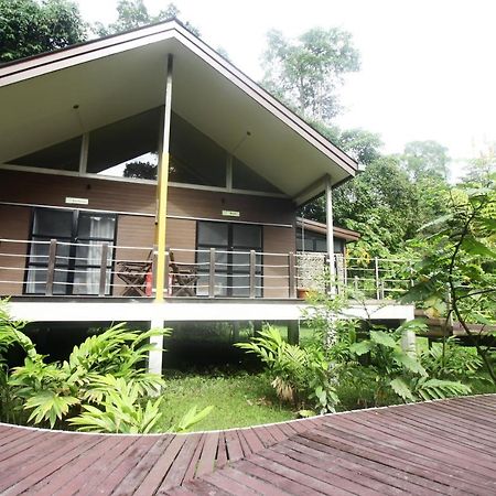 Отель Mulu National Park Экстерьер фото
