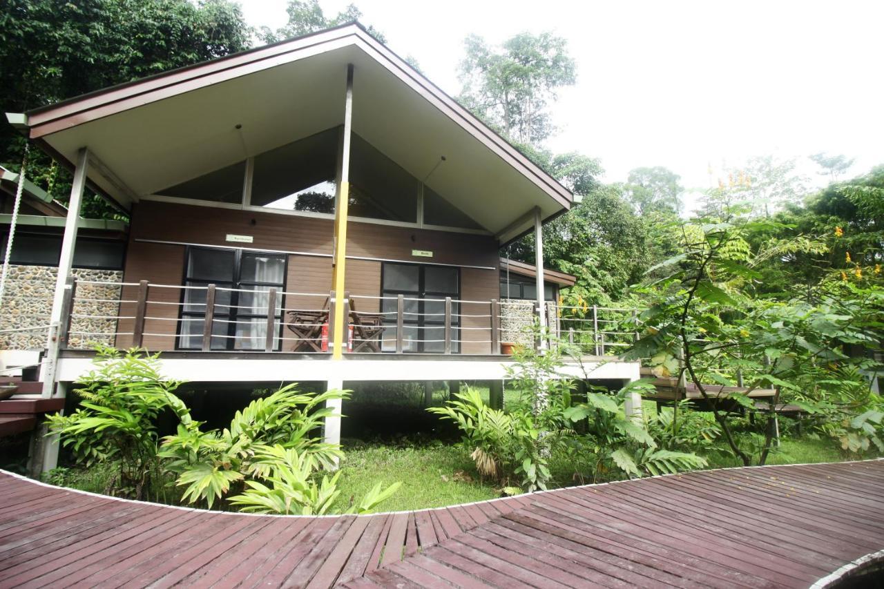 Отель Mulu National Park Экстерьер фото