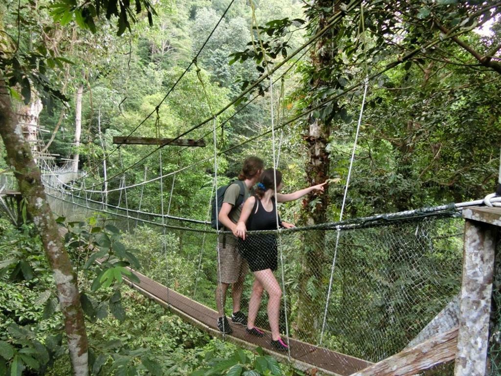 Отель Mulu National Park Экстерьер фото
